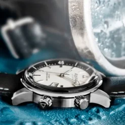 Alpina Seastrong Diver 300 Heritage - AL-525S4H6