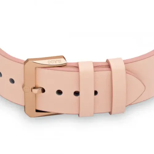 Rado Captain Cook Automatic (37 mm) - R32139708