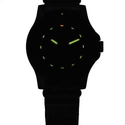Traser P66 Type 6 MIL-G - 100269